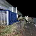 過酷な環境で暮らす猫と出会ってから『3年』→保護した結果……猫達の『現在…