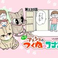 半分アメショのつくねとコナン【第130話】 「かまってよ～②」