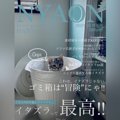 猫が「架空情報誌の表紙」を飾ってみた結果…素晴らしい出来栄えに『ビ…