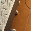 ベッドの下に『白い玉のようなもの』が落ちていると思ったら…覗き込んでみ…