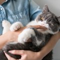 猫にやりすぎてはいけないNG行為３選！無理やりスキンシップをとった…