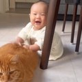 テーブルの下に集まっていた赤ちゃんと猫→赤ちゃんの『手元』を見ると…