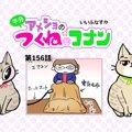 半分アメショのつくねとコナン【第156話】 「防寒は万全だけど」