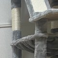 猫のために『豪華なキャットタワー』を用意→遊ぶ姿を楽しみにしていた…