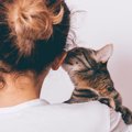 猫があなたの『顔を触ろうとする』理由4つ　考えられる心理や愛猫が喜ぶ応…