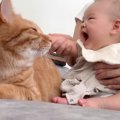 生まれたばかりの赤ちゃん→初めてネコのことを撫でたら…涙が出るほど『可…