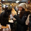 お客さんを惹きつける書店の看板猫が「出版界デビュー」を果たす　カナダ