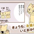 きょうも、お猫さまはいとをかし。【第7話】「君じゃなきゃ」