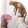 猫が『単身者』の飼い主と相性がいいのはなぜ？その理由や単身で飼う…