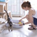 猫のトイレに猫砂は絶対必要？好みの猫砂を見つけるコツと対策