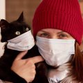 【猫飼いのみなさんへ】万が一の新型コロナ感染に必須の備えをチェック