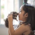 猫が『目をそらす』には理由がある？4つの理由と目を合わせてはいけな…