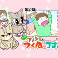 半分アメショのつくねとコナン【第37話】「コナンの役割」