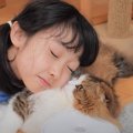 疲れ切った女の子が猫を枕にした結果…『やさしさ溢れる対応』が素敵す…