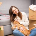 『一人暮らしの猫飼いさん』は注意を！備えるべき5つのこと