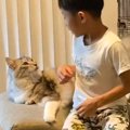 少年が『大型猫』にマッサージをしたら……思わず笑っちゃうやり取りの…