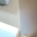 部屋に戻ると、猫が『予想外の場所』に乗っていて…まさかの『お出迎え』が…