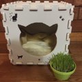 騒音に怯える猫のために！「防音シェルター猫ハウス」を手作りしました