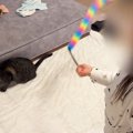 女の子が歌いだした次の瞬間、近くにいた猫が…完璧に『合いの手』をいれる…