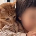 猫たちと『家族になってからの日々』を振り返ったら…幸せあふれる光景に涙…