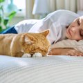 猫が見せる『亡くなる直前』のサイン5つ　見逃したくない変化や後悔し…