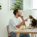 猫を嫌がらせてしまう『嫌われる話し方』4選　悪気はなくても、威嚇だと思…