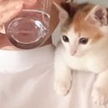 朝の支度をしようとママがキッチンに立つと、『ずっと一緒にいたい子…