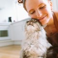 愛猫を『最高に幸せにできる飼い主』に共通する4つの特徴　こんな飼い主の…
