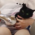 ドキドキ！元野良猫さん初めてのシャンプー！！