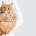 猫を『抱っこ好き』に育てるためのコツ4つ　避けるべき行為や正しい抱き方…