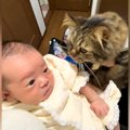 初めて対面した赤ちゃんをそっと見守るネコ→少しずつ距離が近くなって…
