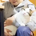 膝の上で抱っこされる猫→リラックスしていると思ったら…愛おしい『寝…