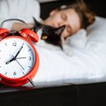 猫が必要としている『モーニングルーティン』5選　毎朝欠かせない行動が持…