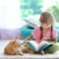 猫と人の子供が仲良くなるためにできる3つの方法