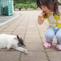 3歳の女の子が『寝言を言う猫』と遭遇した結果…とんでもなく平和な『…