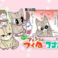 半分アメショのつくねとコナン【第38話】「可愛いところ（笑）」