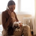猫と人の命に関わる感染症『SFTS』とは？感染する原因や危険な症状、予防…