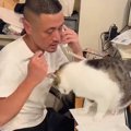 仕事相手と電話中の男性→かまってほしい保護猫が、ヒザに手を伸ばして…