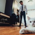 部屋の『猫臭』を消す方法４選