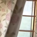 ふとカーテンをめくったら、『2匹の猫』が……想定外な『とんでもない光景』…