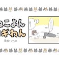 ねこよんコギわん【第28話】「筋トレ②」