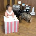 猫と犬と『一緒に育った娘』に起きた変化とは…予想外すぎる光景に思わ…