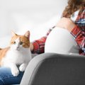 『猫と妊婦さん』の共存で必ず気を付けたい3つの注意点