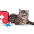 猫のために『常備しておきたい救急用品』5選　突然のケガや体調不良のとき…