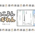 ねこよんコギわん【第19話】「器用ですね?!」