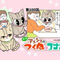 半分アメショのつくねとコナン【第100話】 「そういうことね」