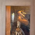 猫喫茶の店員さんが『ネコスタッフを運ぶ様子』を見てみると……まさかの光…