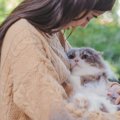 愛猫が飼い主さんに感じている『ご恩』4選　猫だって3日では忘れない！