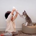 ０歳から一緒に過ごしてきた赤ちゃんと子猫→最高の相棒になり…『宝物のよ…