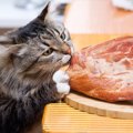 猫は馬刺しを食べても大丈夫？与え方やおすすめ商品まで